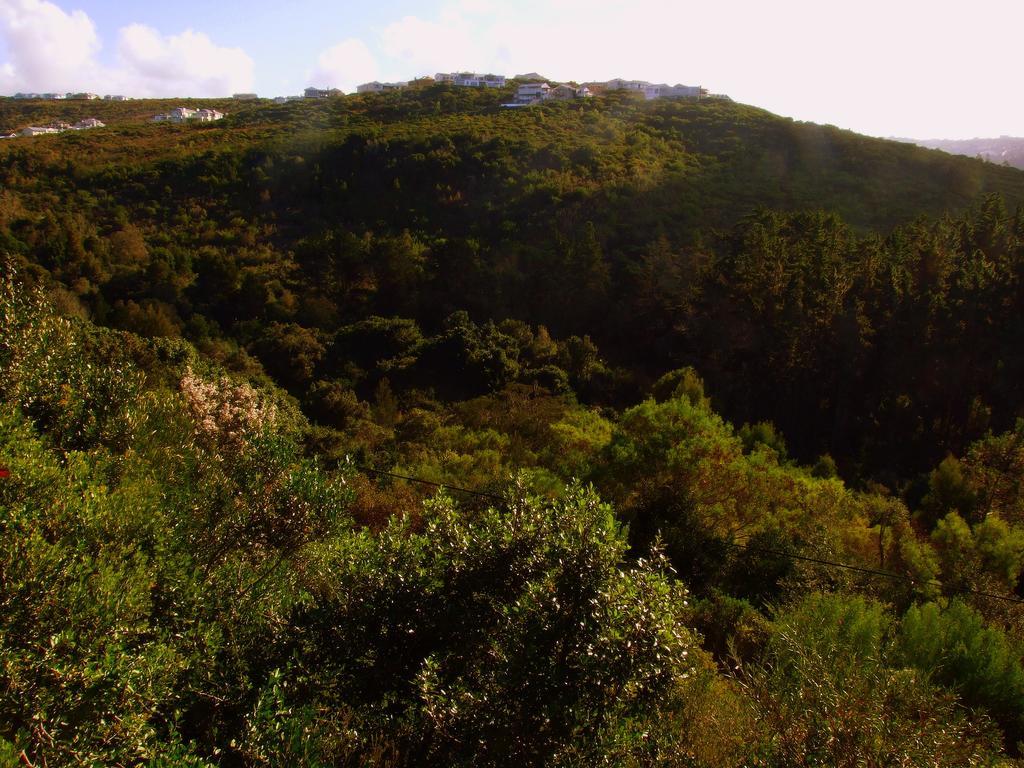 Ferienwohnung Treehaven Plettenberg Bay Exterior foto